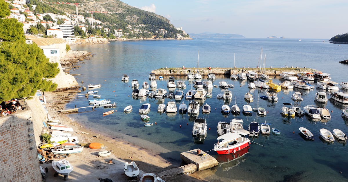 Kalastuspelit - Koe Kalastuksen Hullu Maailma: Bonus XP:llä Täytetty Kalastuspeli Määrittelee Uudelleen Toiminnan ja Huumorin Rajat