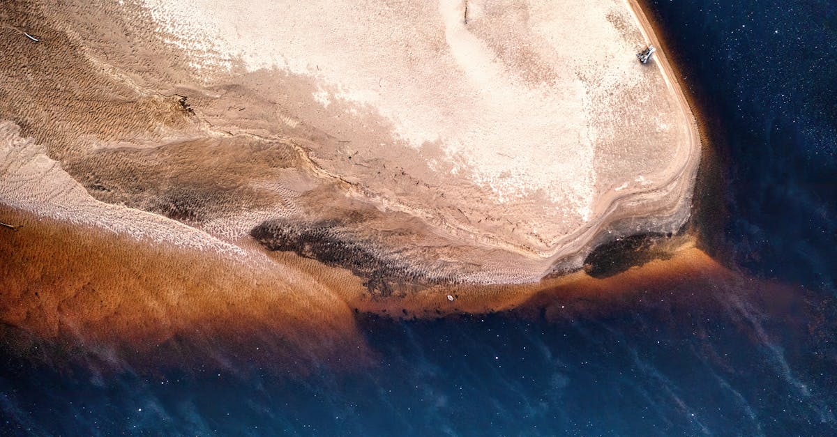 Ella Purnell shuts down - Ella Purnell Shuts Down: Ghoulcy-spekulaatiot murskana Fallout-fanien keskuudessa!